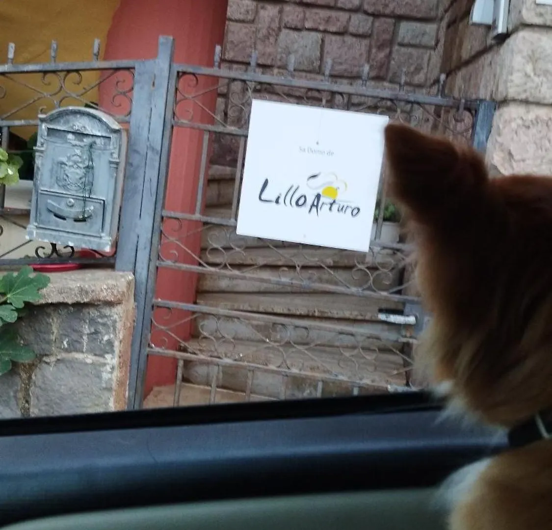 Sa Domo De Lillo E Arturo Apartment Bonarcado